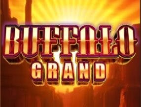 south africa online betting sites
