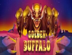 live online casino betting singapore